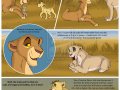 the_new_prince_92_by_savu0211-d4h1ct0.jpg